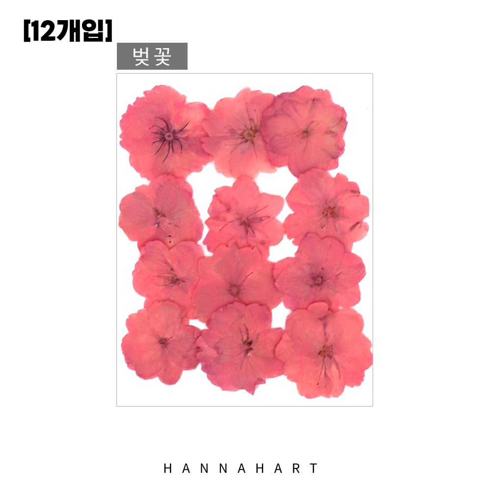 [대용량]압화 핑크 벚꽃[12개입]